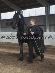 Elvis Af Jyndevad 067