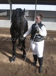 Elvis Af Jyndevad 069