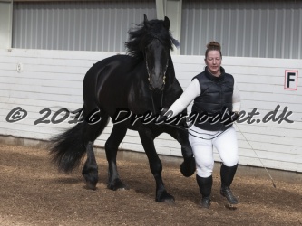 Elvis Af Jyndevad 070