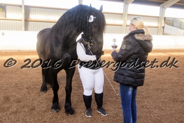 Elvis Af Jyndevad 079