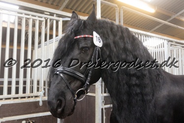 Sponk fra Overby 002