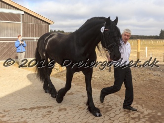 Sponk fra Overby 003