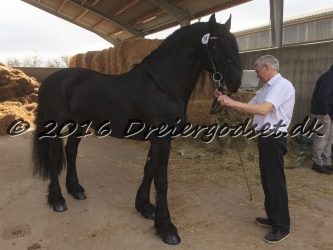 Sponk fra Overby 006