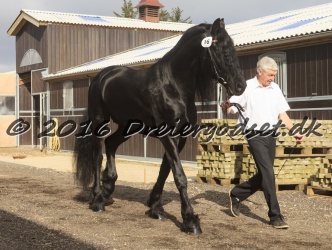 Sponk fra Overby 009