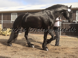 Sponk fra Overby 010