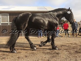 Sponk fra Overby 011