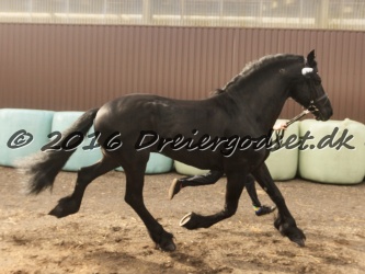 Sponk fra Overby 012