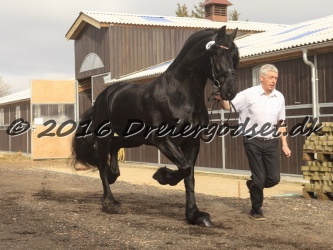 Sponk fra Overby 013