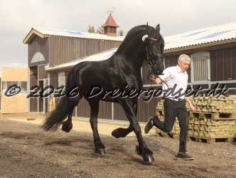 Sponk fra Overby 014