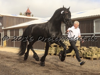 Sponk fra Overby 015