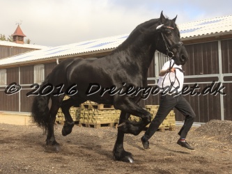 Sponk fra Overby 016