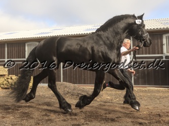 Sponk fra Overby 018