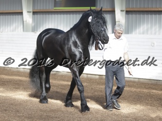 Sponk fra Overby 019