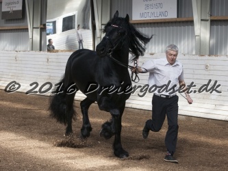 Sponk fra Overby 023