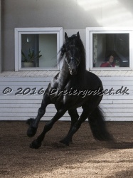 Sponk fra Overby 024