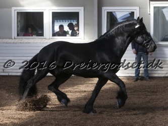 Sponk fra Overby 025