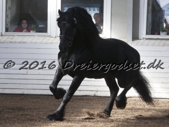 Sponk fra Overby 026