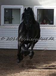 Sponk fra Overby 027