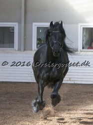 Sponk fra Overby 028