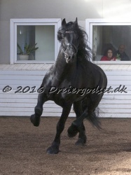 Sponk fra Overby 029