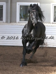 Sponk fra Overby 030