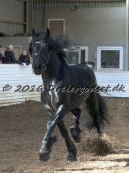 Sponk fra Overby 031