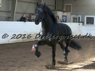 Sponk fra Overby 032