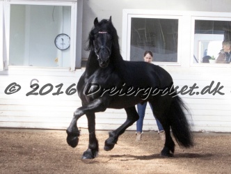 Sponk fra Overby 033