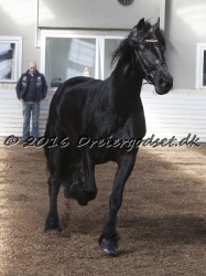 Sponk fra Overby 034