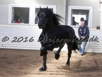 Sponk fra Overby 035