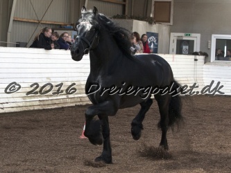 Sponk fra Overby 036