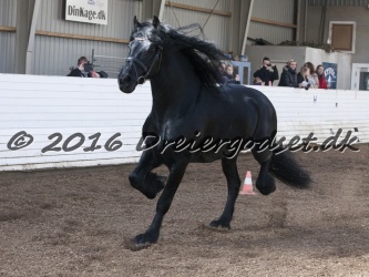 Sponk fra Overby 037