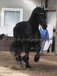 Sponk fra Overby 038