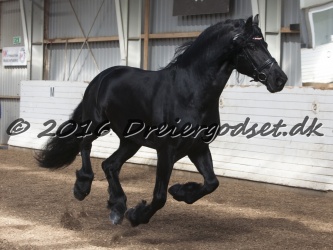 Sponk fra Overby 039