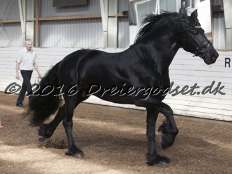 Sponk fra Overby 040