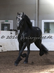 Sponk fra Overby 041