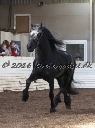Sponk fra Overby 042