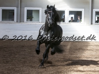 Sponk fra Overby 043