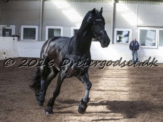 Sponk fra Overby 044