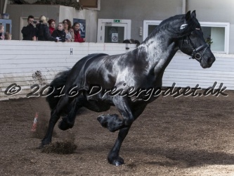 Sponk fra Overby 045