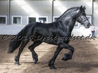Sponk fra Overby 046