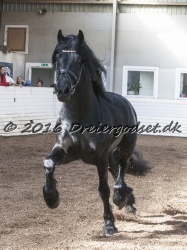 Sponk fra Overby 047