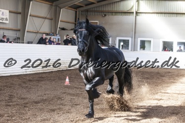 Sponk fra Overby 048