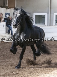 Sponk fra Overby 049