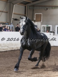Sponk fra Overby 050