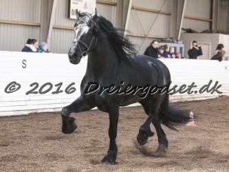 Sponk fra Overby 051
