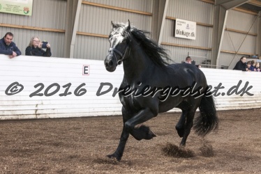 Sponk fra Overby 052