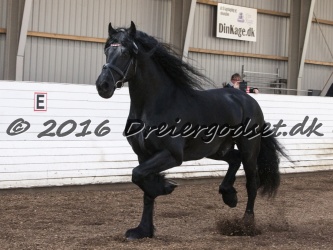 Sponk fra Overby 053