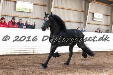 Sponk fra Overby 054