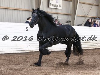 Sponk fra Overby 055